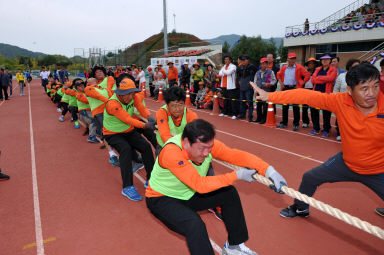 2015 제31회 용화축전 개회식 의 사진