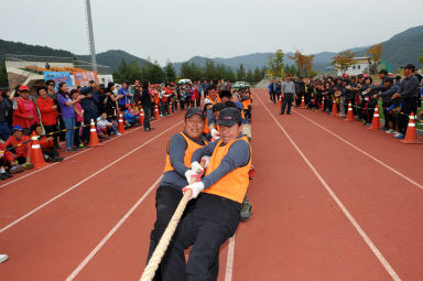 2015 제31회 용화축전 개회식 의 사진