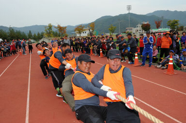 2015 제31회 용화축전 개회식 의 사진