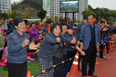 2015 제31회 용화축전 개회식 의 사진