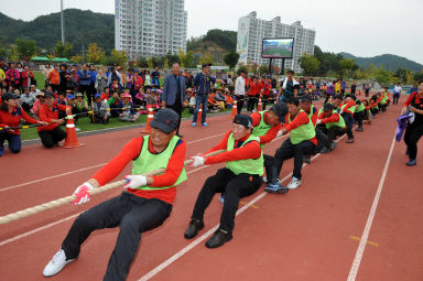 2015 제31회 용화축전 개회식 의 사진