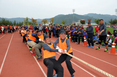 2015 제31회 용화축전 개회식 의 사진