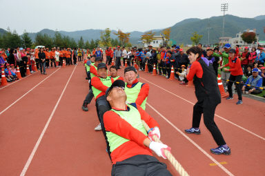 2015 제31회 용화축전 개회식 의 사진