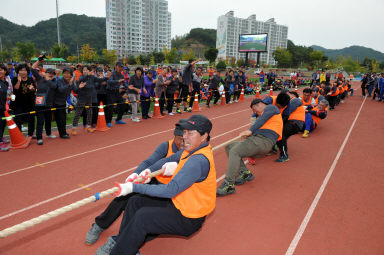 2015 제31회 용화축전 개회식 의 사진