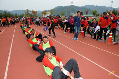 2015 제31회 용화축전 개회식 의 사진