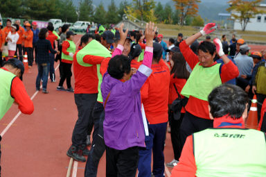 2015 제31회 용화축전 개회식 의 사진