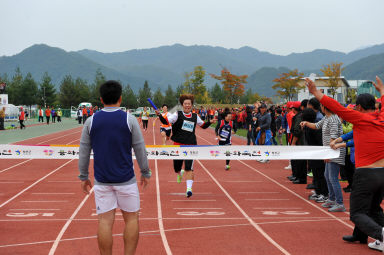 2015 제31회 용화축전 개회식 의 사진