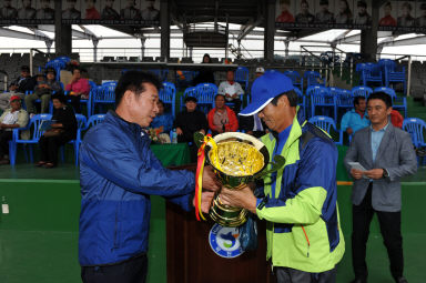 2015 제31회 용화축전 개회식 의 사진