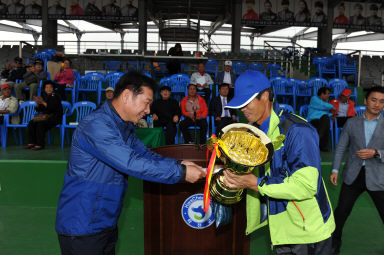 2015 제31회 용화축전 개회식 의 사진