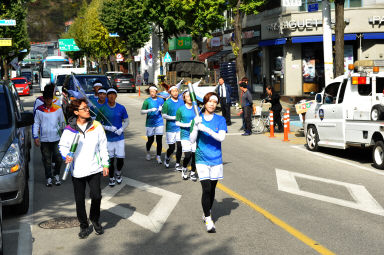 2015 제96회 전국체육대회 성화 봉송 의 사진