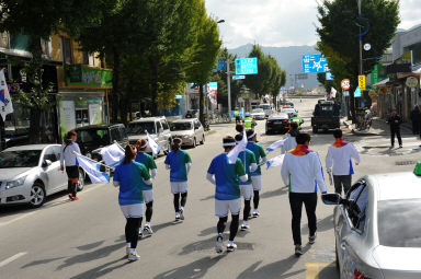 2015 제96회 전국체육대회 성화 봉송 의 사진