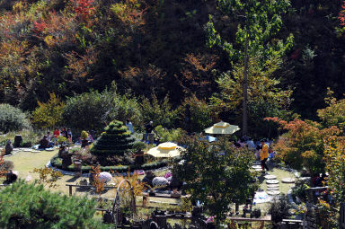 2015 동구래마을 들꽃마당전 의 사진