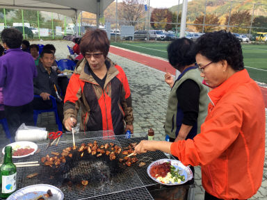 2015 하남면민 화합의 날 가족한마당 체육대회 의 사진