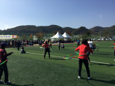 2015 하남면민 화합의 날 가족한마당 체육대회 의 사진
