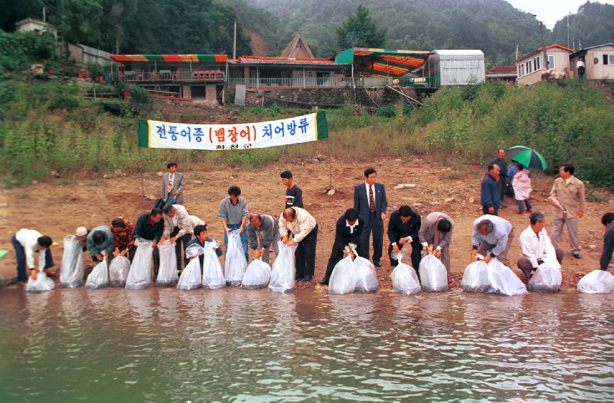 향토어종 사진