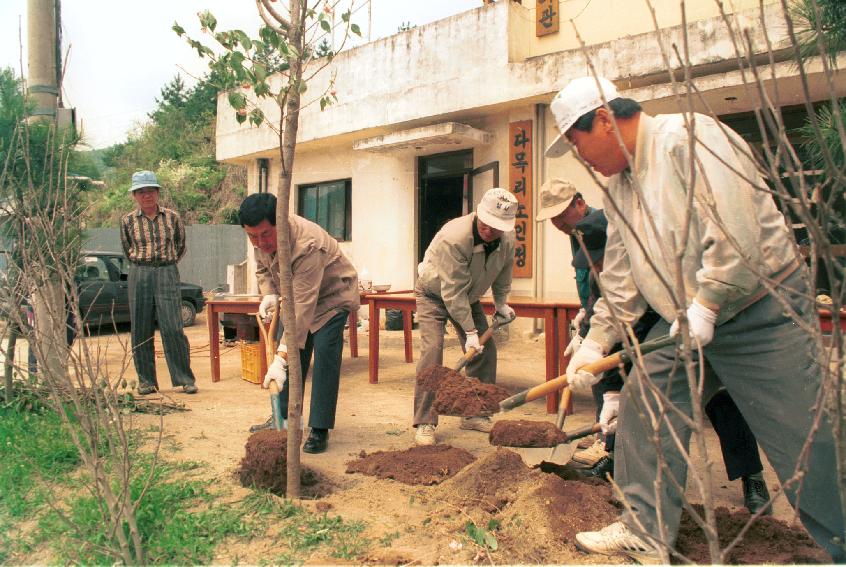 벗나무 의 사진