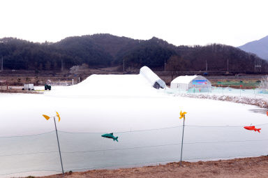 2016 바로파로 겨울축제장 현장 점검  의 사진