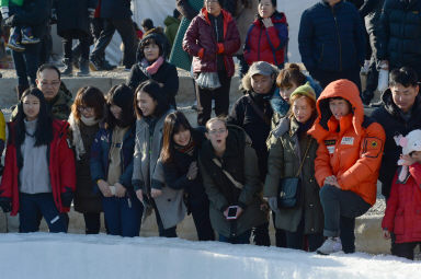 2016 얼음나라 화천산천어축제 산천어맨손잡기 의 사진