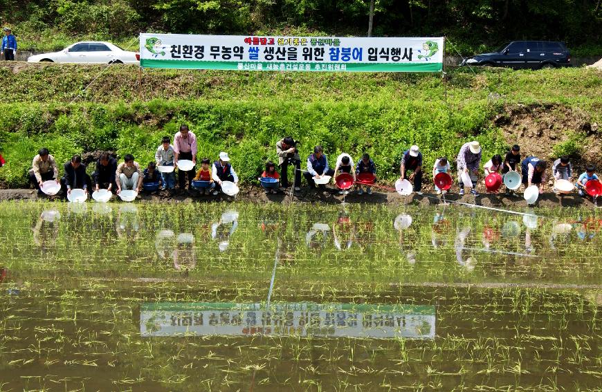 참붕어쌀 의 사진