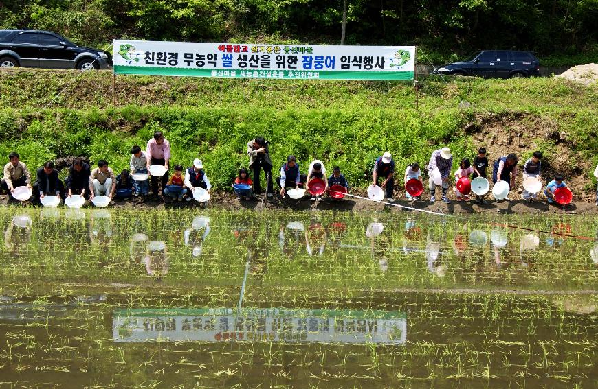 참붕어쌀 의 사진