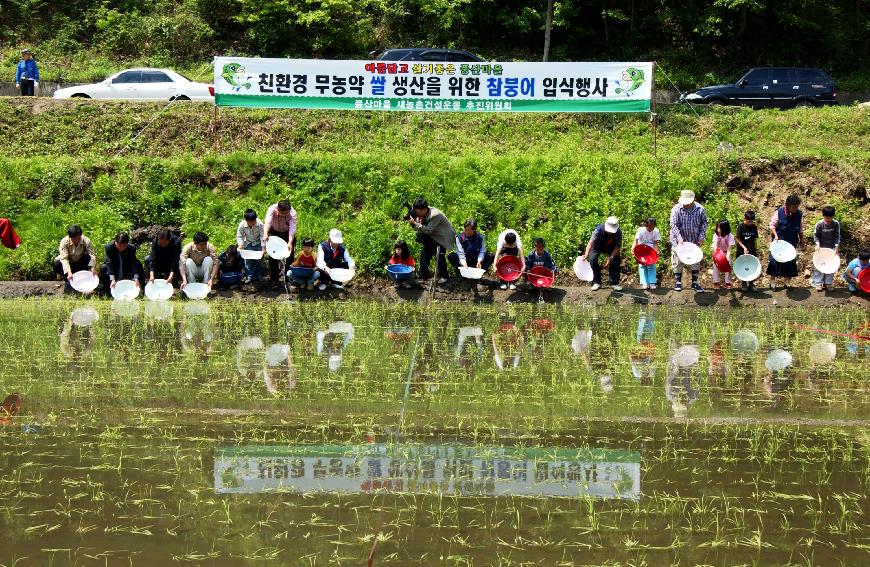 참붕어쌀 의 사진