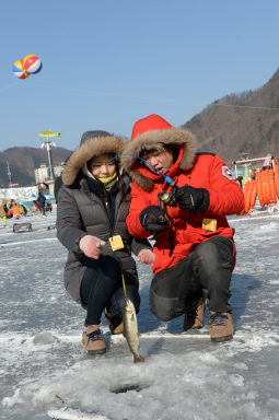 2016 화천산천어축제장으로 신혼여행 의 사진