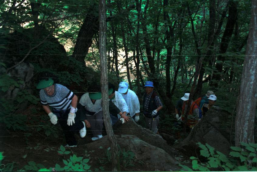 군민등산대회 의 사진