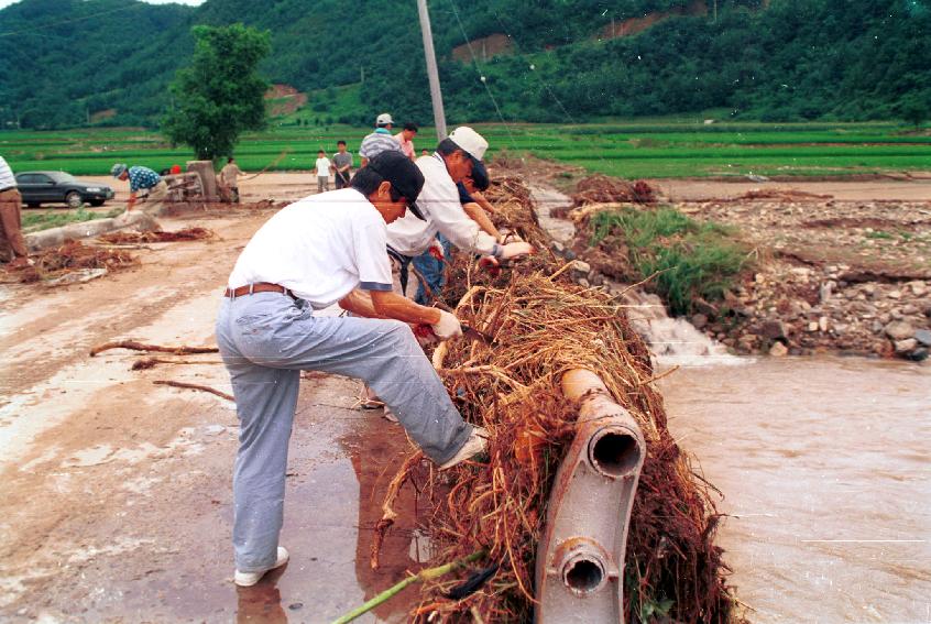 상서면 수해피해 의 사진