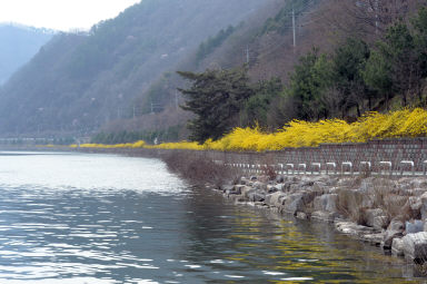 2016 화천읍 붕어섬 전경/동구래마을 의 사진