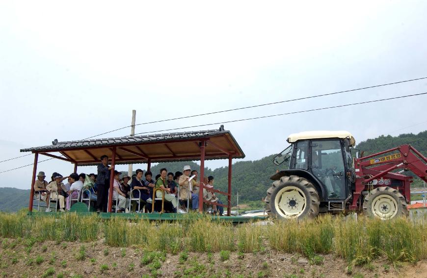 토고미축제 의 사진