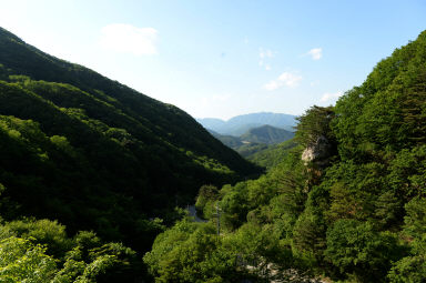 2016 사내면 삼일리 화음동정사지 전경 의 사진