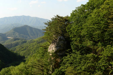 2016 사내면 삼일리 화음동정사지 전경 의 사진