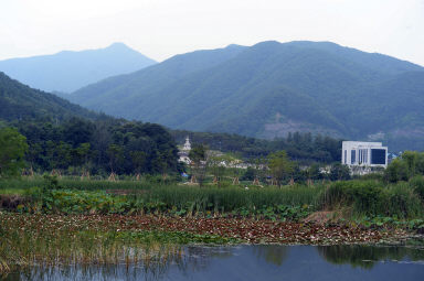 2016 화천군 하남면 서오지리 연꽃단지 전경 의 사진