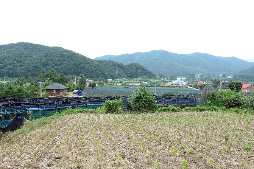 2016 화천군 하남면 용암리 전경 사진