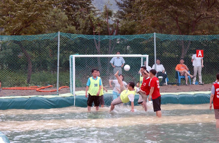 물축구 의 사진