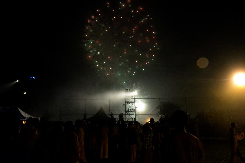 2016 물의나라 화천 쪽배축제 개막식 의 사진