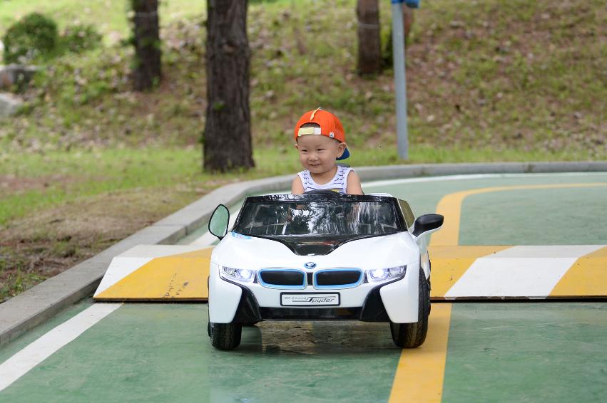 2016 물의나라 화천 쪽배축제 붕어섬 전경 의 사진