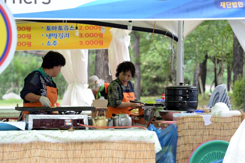 2016 물의나라 화천 쪽배축제 붕어섬 전경 의 사진