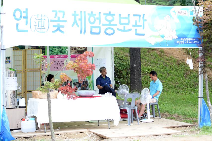 2016 물의나라 화천 쪽배축제 붕어섬 전경 의 사진