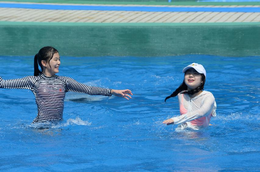 2016 물의나라 화천 쪽배축제 붕어섬 전경 의 사진