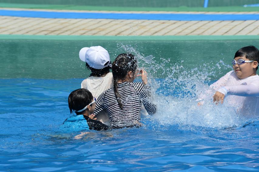 2016 물의나라 화천 쪽배축제 붕어섬 전경 의 사진