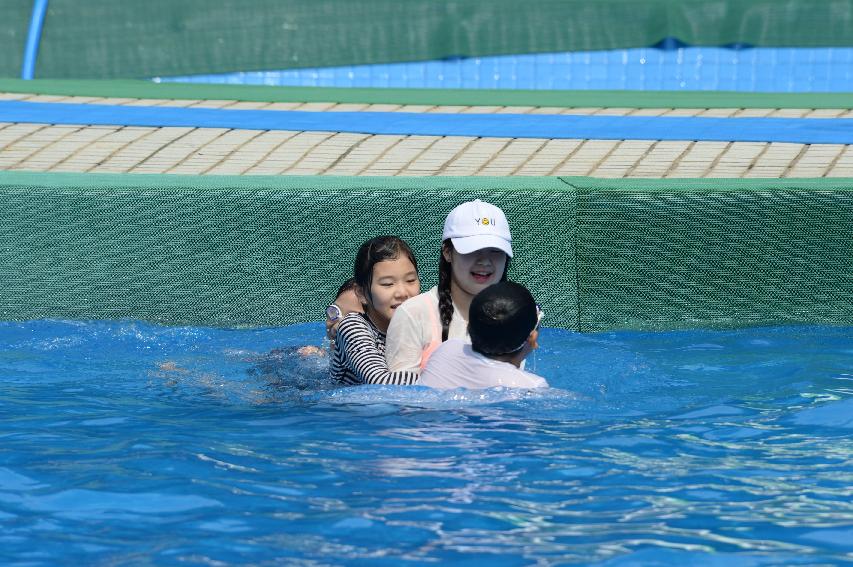 2016 물의나라 화천 쪽배축제 붕어섬 전경 의 사진