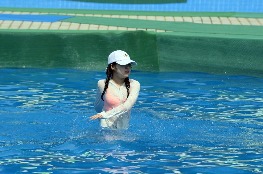 2016 물의나라 화천 쪽배축제 붕어섬 전경 의 사진