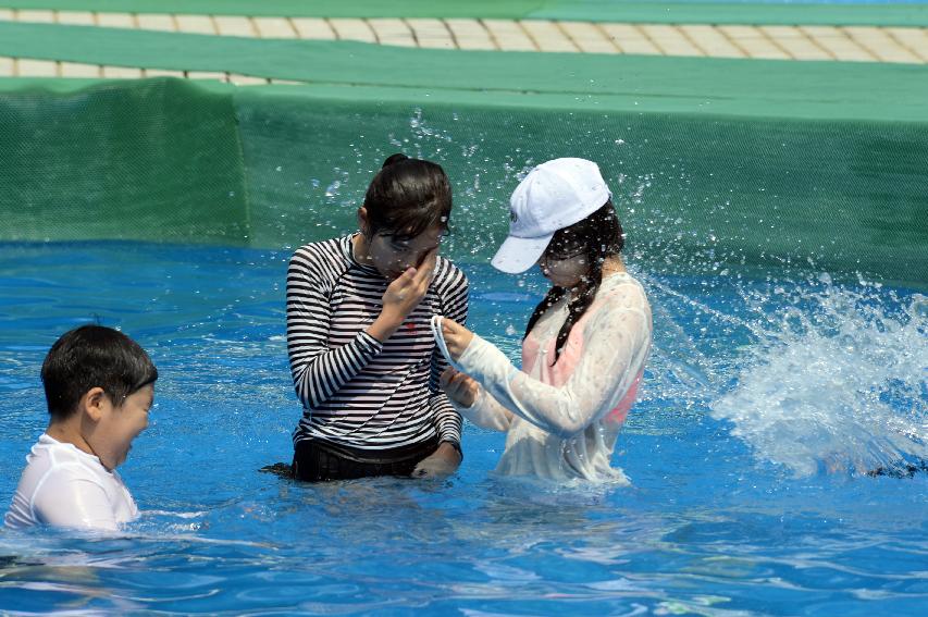 2016 물의나라 화천 쪽배축제 붕어섬 전경 의 사진