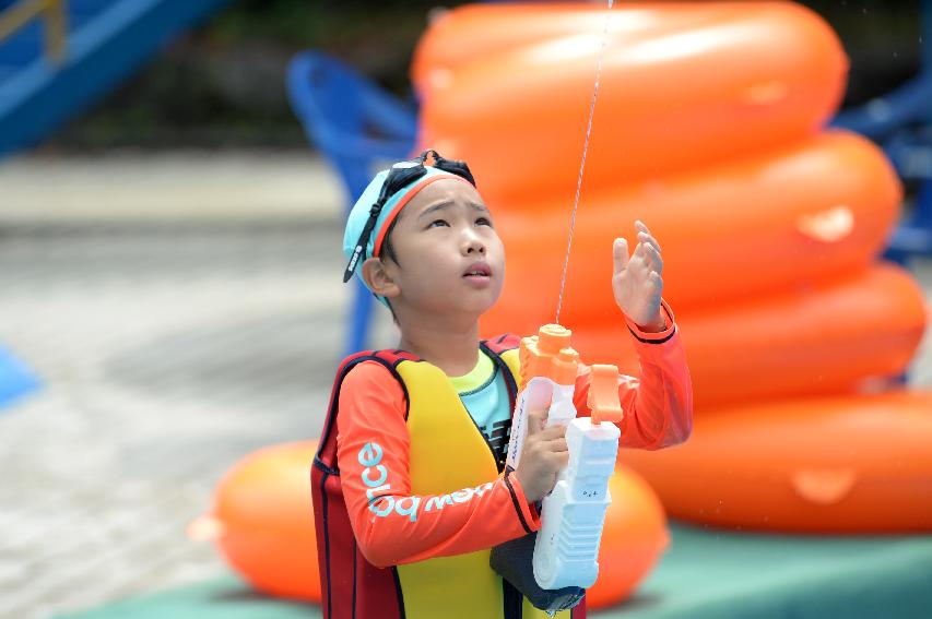 2016 물의나라 화천 쪽배축제 붕어섬 전경 의 사진