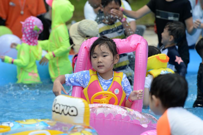 2016 물의나라 화천 쪽배축제 붕어섬 전경 의 사진