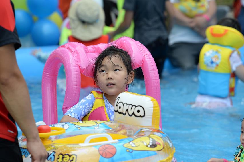 2016 물의나라 화천 쪽배축제 붕어섬 전경 의 사진