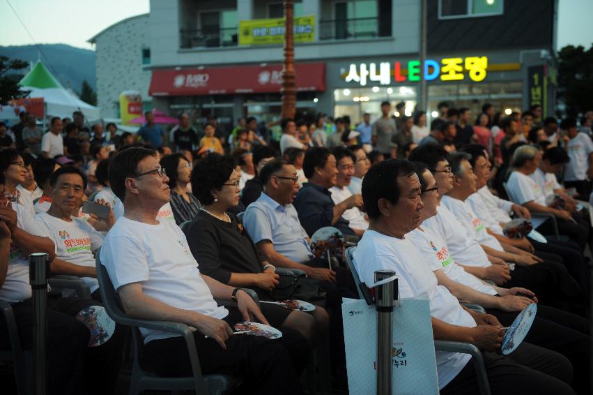 2016 화천토마토축제 전야제 의 사진