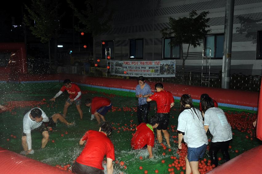 2016 화천토마토축제 전야제 의 사진