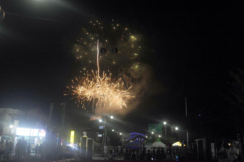 2016 화천토마토축제 전야제 의 사진